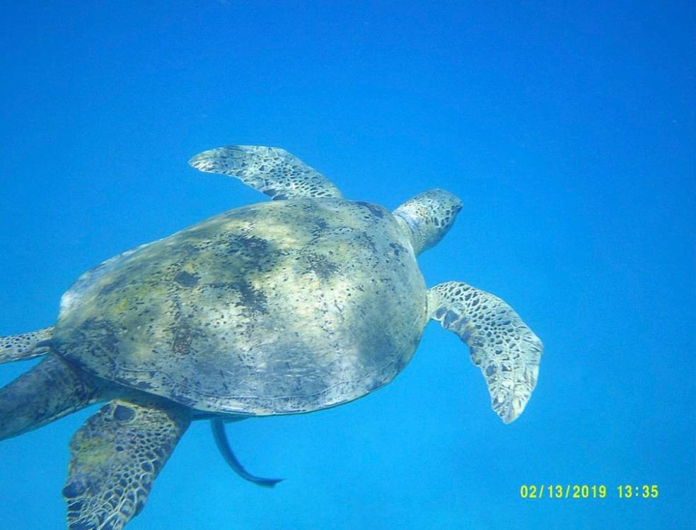 photo_2022-09-03_14-06-41