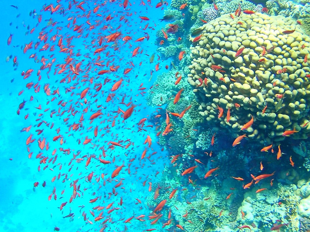 photo_2022-09-03_14-30-49