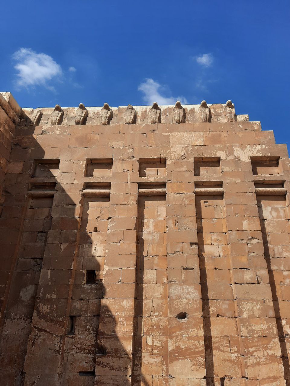 photo_2024-11-01_16-38-31 (2)