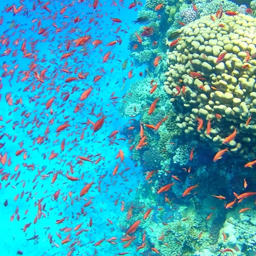 photo_2022-09-03_14-30-49